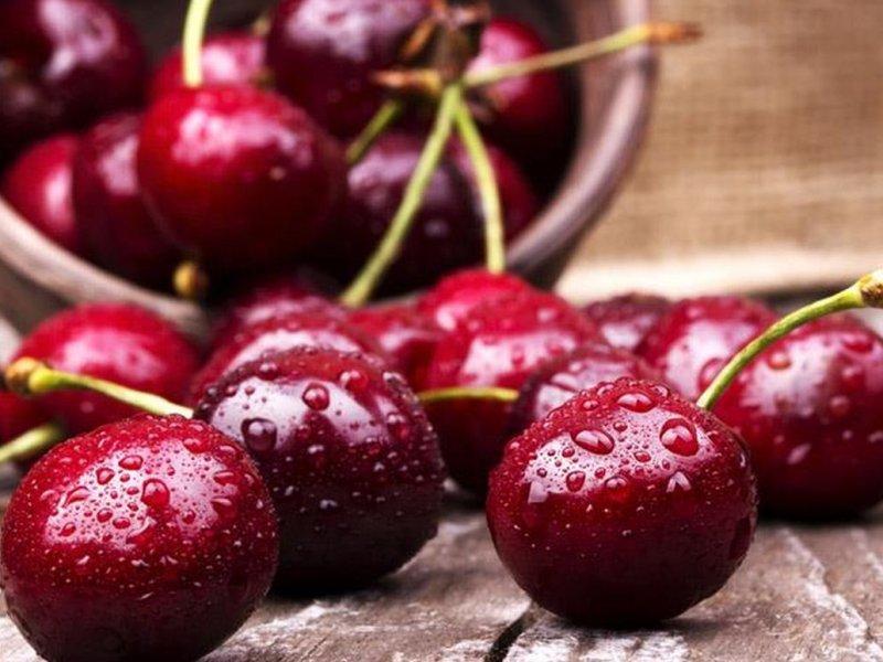 Вишня купить саженцы из питомника в Киришах